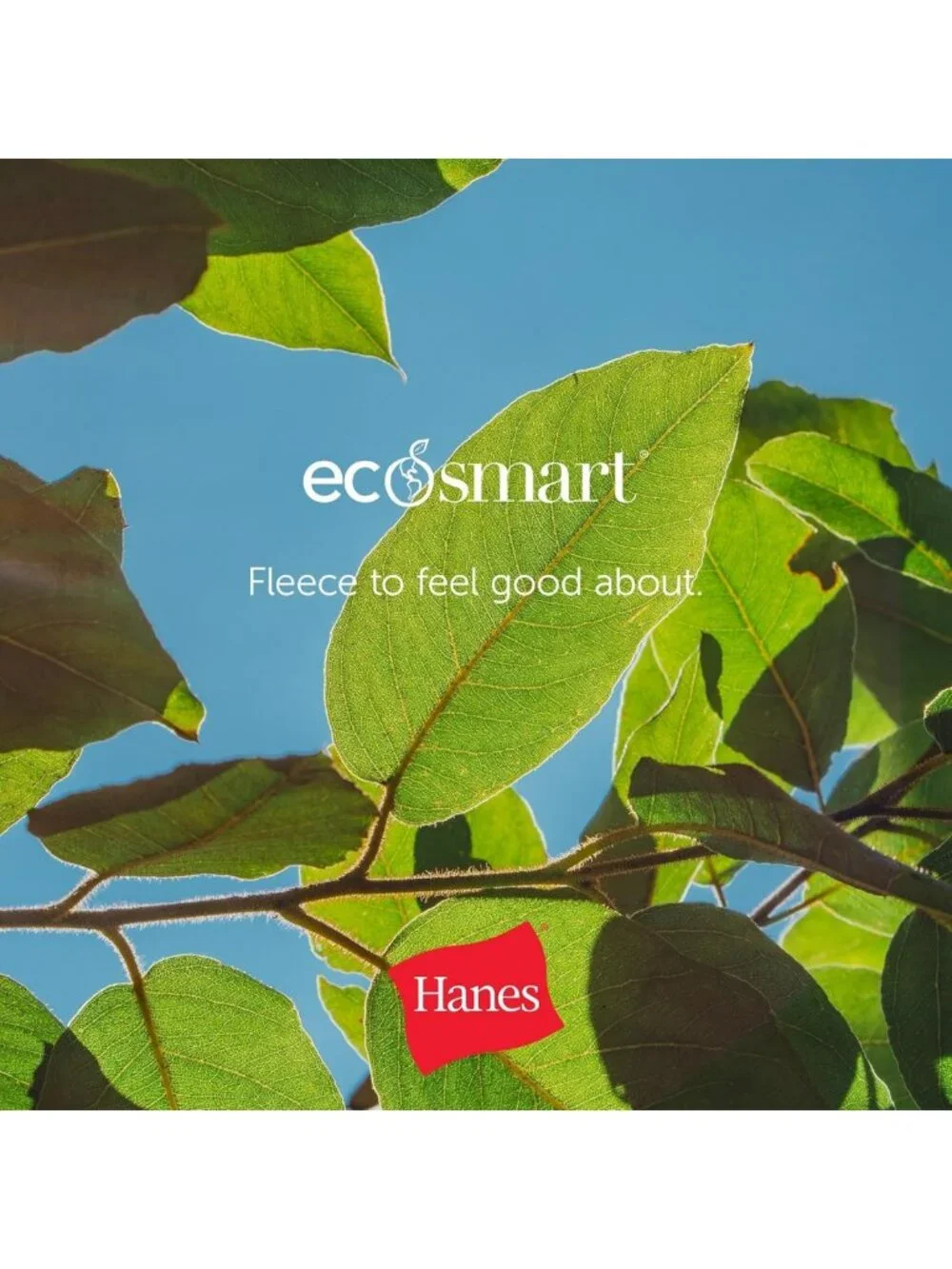 Cozy EcoSmart Fleece Hoodie for Men & Women - Midweight Sweatshirt, Big & Tall